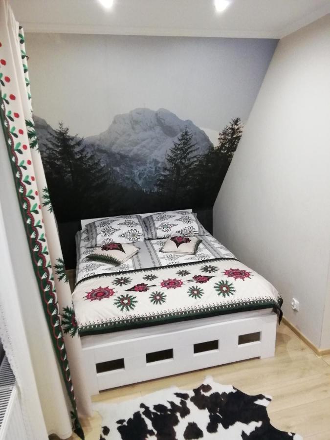Apartamenty Na Galicowce ザコパネ エクステリア 写真